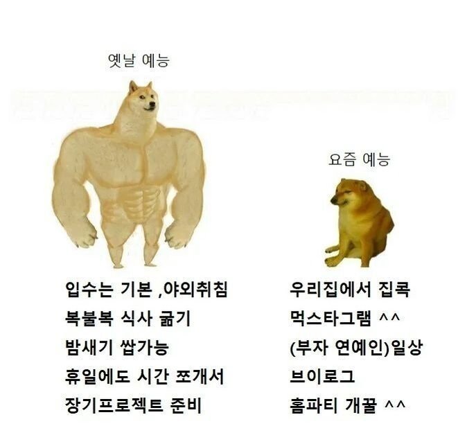 요즘 예능이 노잼된 이유.jpg_2.jpg