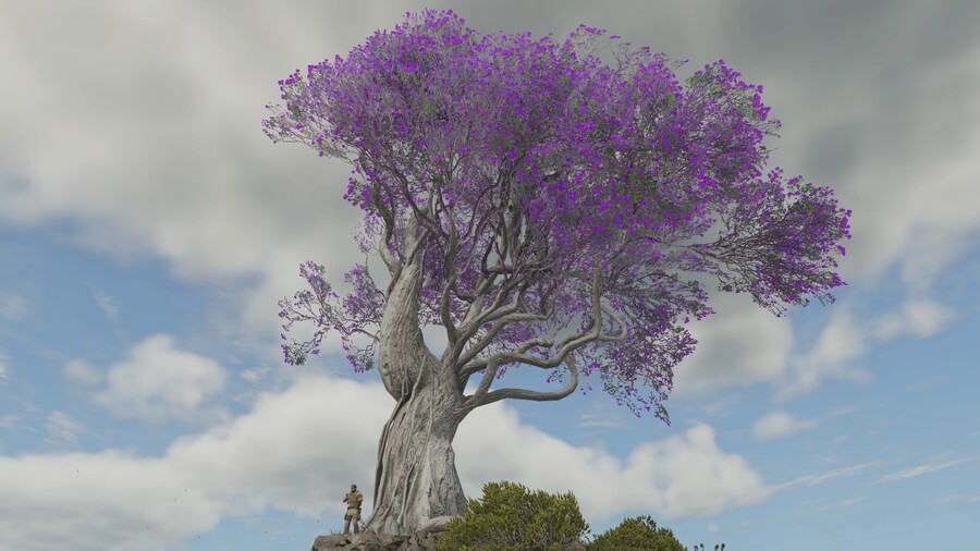 나무가 자라나면 뭐 얼마나_2.jpg