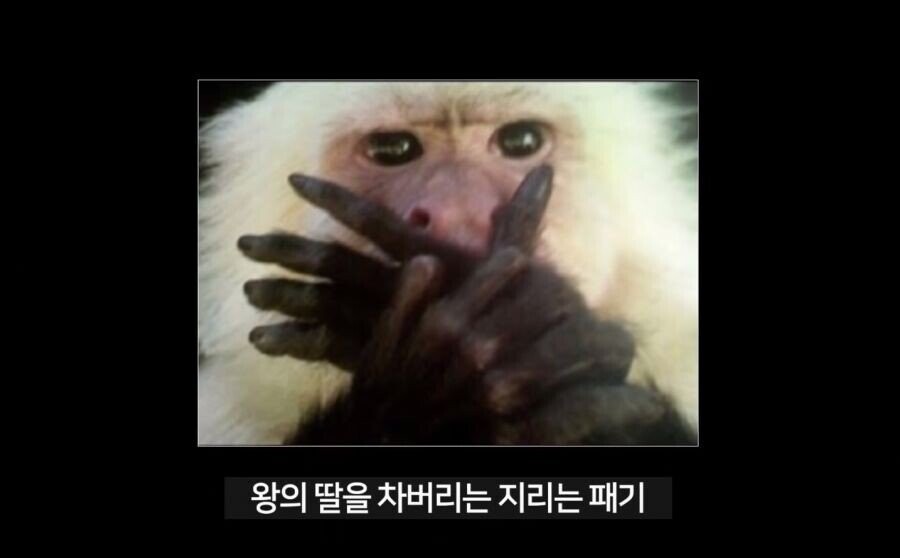 조선시대 태종에게 개긴 사람의 최후.jpg_11.jpg