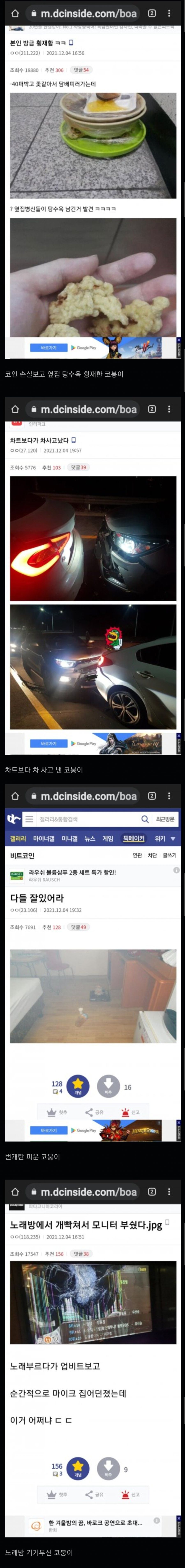 싱글벙글 어제자 비트코인 갤러리 근황jpg