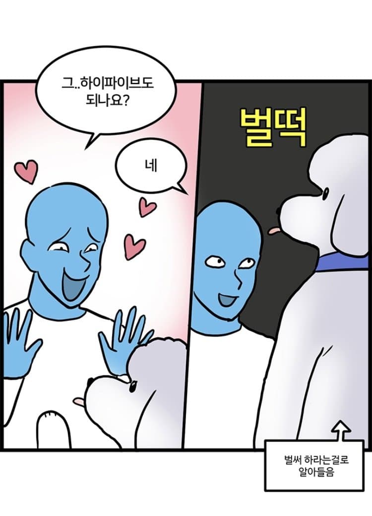 개알못이 진짜 푸들을 만났을때의 괴리감.jpg