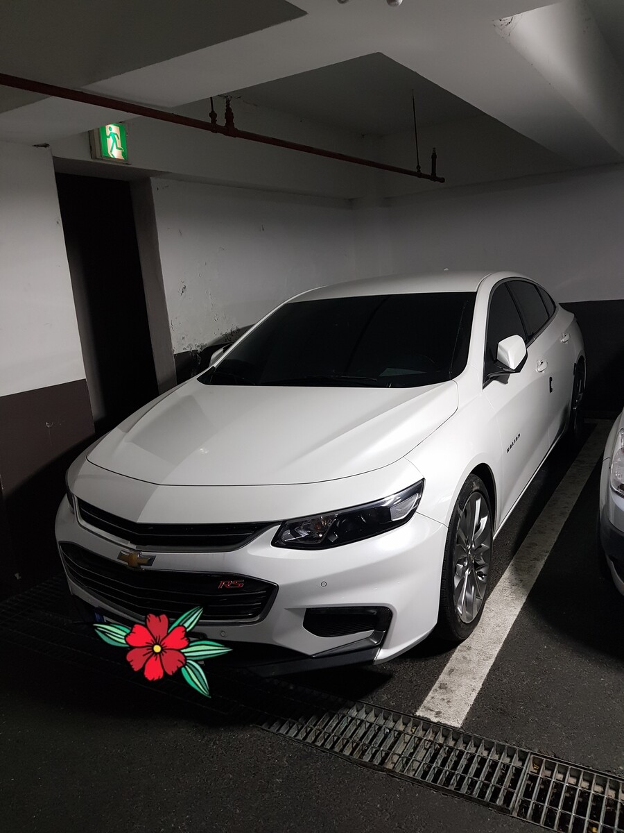 30대 중반 첫 차 구매 올 뉴 말리부 1.5_2.jpg