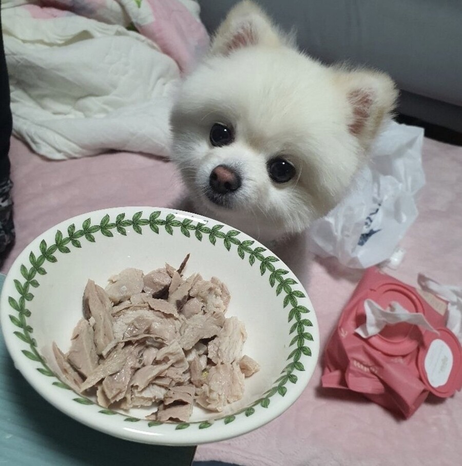 어떤 참치 가게 사장님의 대환장 마케팅...JPG_2.jpg