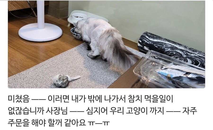 어떤 참치 가게 사장님의 대환장 마케팅...JPG_3.jpg