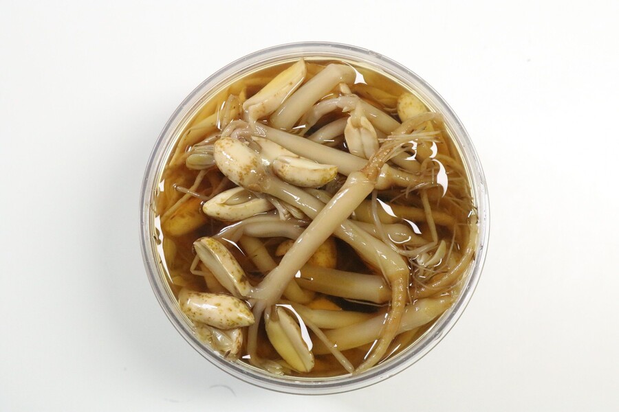 한국 식재료.. 찐 마이너 '땅콩 나물' .jpg_13.jpg