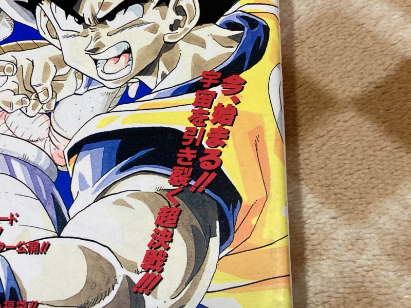 드래곤볼Z 2 격신(激神) 후리-자(フリーザ)!! 오의대전서(奥義大全書)_12.jpg