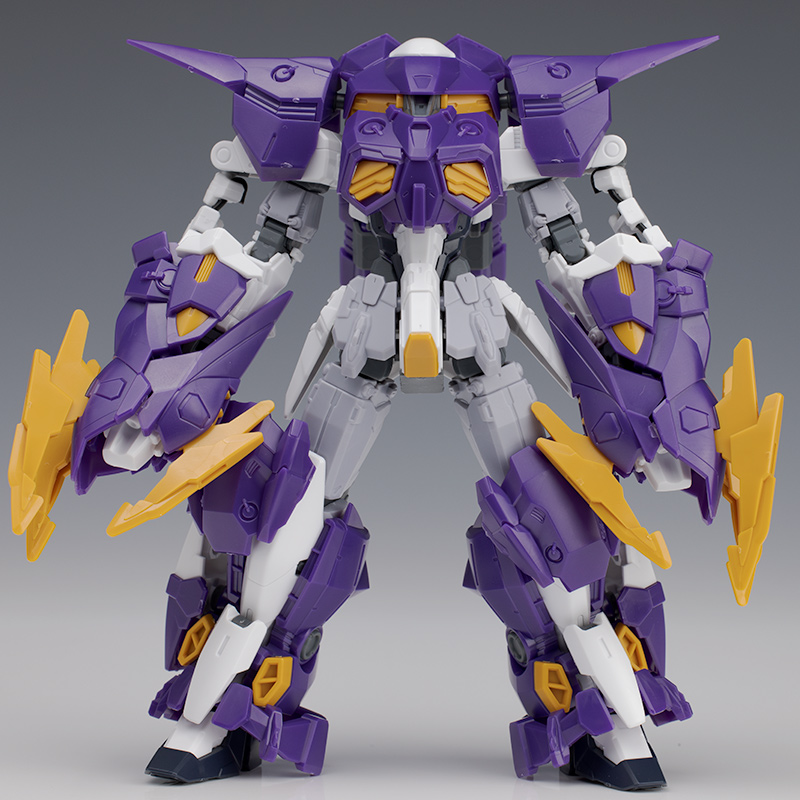 hg_aesculapius077.jpg