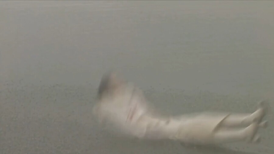 [가면라이더쿠우가]매력적인 장미누님_92.jpg