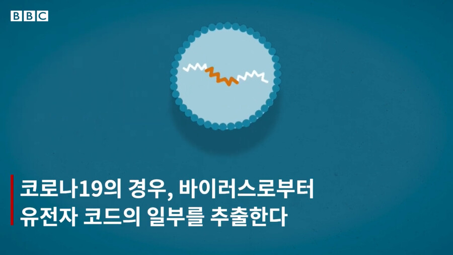 BBC) 코로나 백신과 신 암치료 방법_10.png