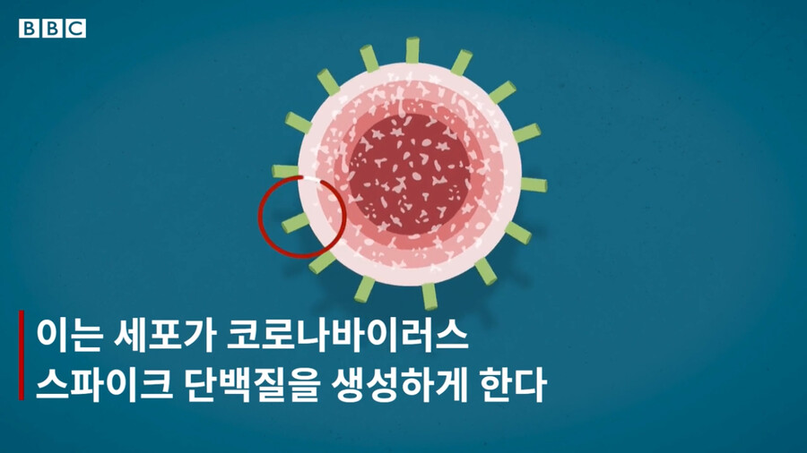BBC) 코로나 백신과 신 암치료 방법_12.png