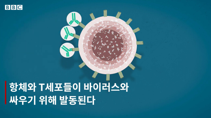 BBC) 코로나 백신과 신 암치료 방법_16.png