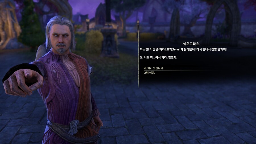 [엘더스크롤] 설정이나 로어 좋아하면 엘더온 해봐도 괜찮음_4.jpg