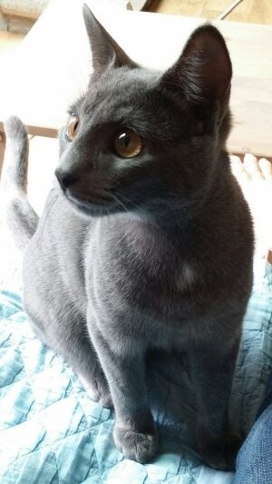 고양) 고영이는 고양고양 고영해 (데이터 주의)_10.jpg