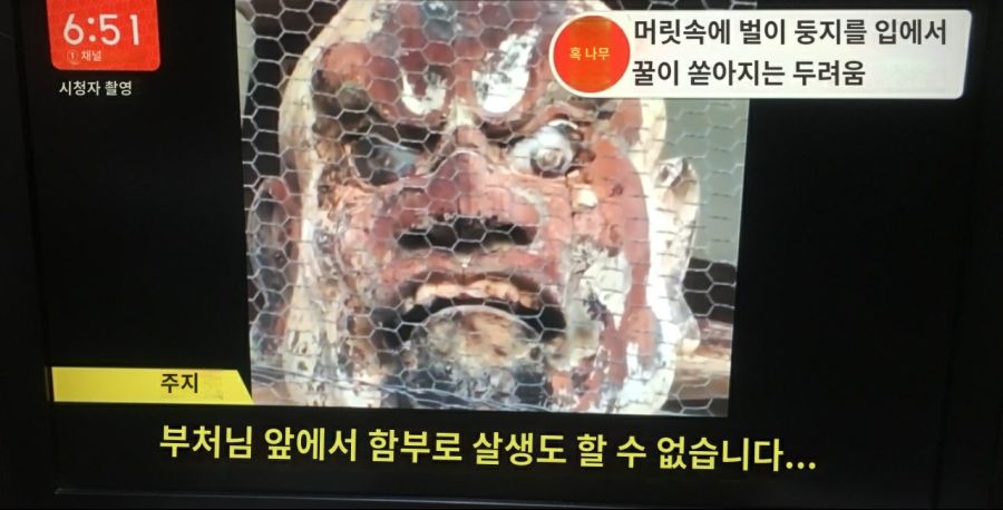 일본의 달달한 인왕상🍯_4.jpg