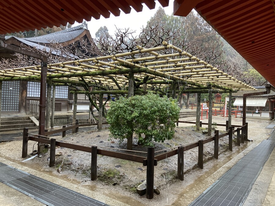 니코의 여행기(22년 2월) 스왑주의_1.jpg