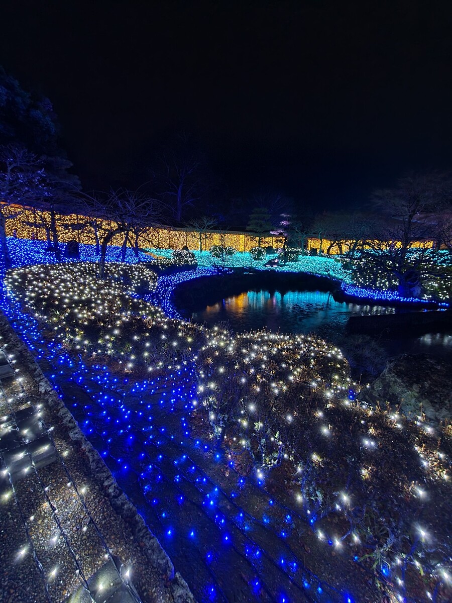 니코의 여행기(22년 2월) 스왑주의_12.jpg