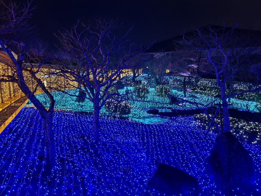 니코의 여행기(22년 2월) 스왑주의_16.jpg