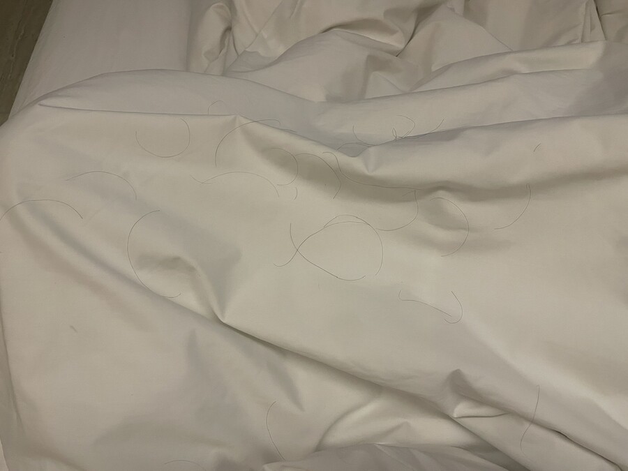 머리카락)이거 정상이지…?_1.jpeg