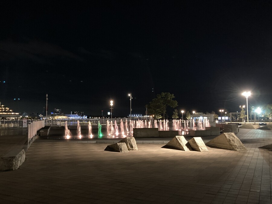 니코의 여행(22년 2월말) 스왑주의_37.jpg