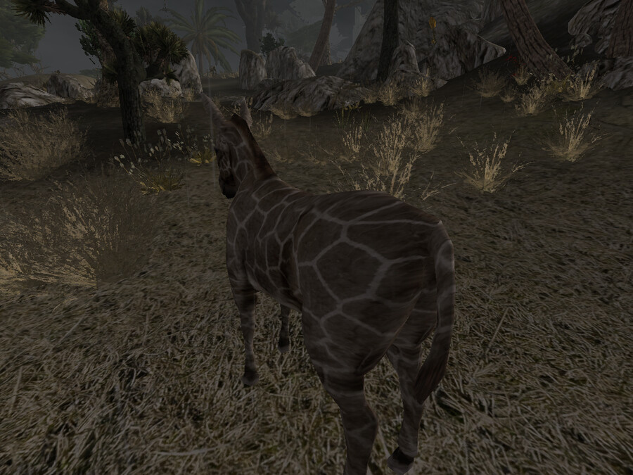 엘더스크롤) 시로딜 무덤 탐방_1.png