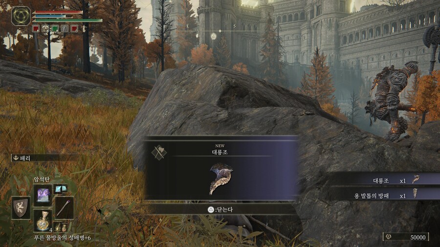 필드보스 쉽게 잡는법,카리아의 휘석검 위치 등_4.jpg