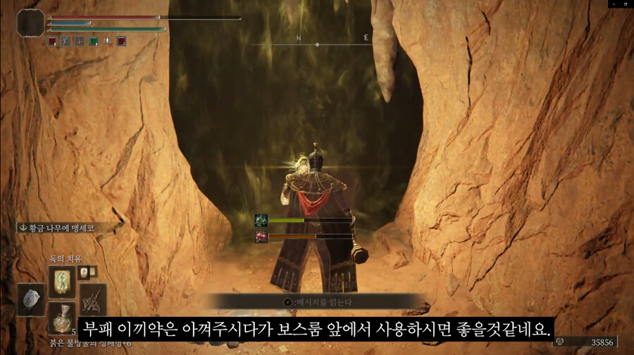 [공략] 룬 획득량 증가+옵션을 가진 '금 스카라베' 얻는법_7.png