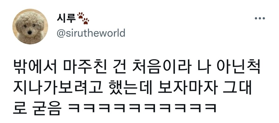 밖에서 지인 강아지 마주침.gif_1.jpg