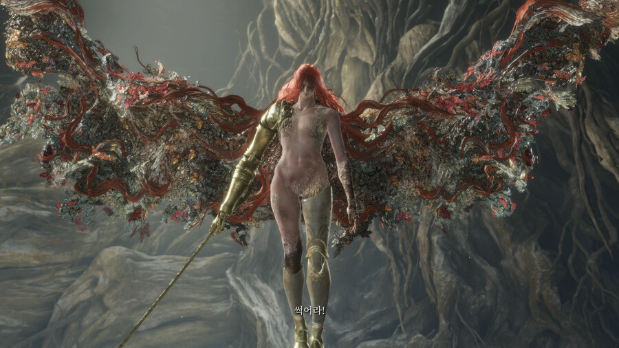 보스스포) 말레니아 때문에 엘든링 접을 뻔 했네요..._2.png