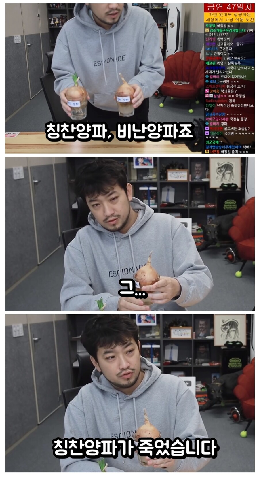 인방) 침착맨 칭찬양파 vs 비난양파 실험이 잘못된 이유.jpg_1.jpg