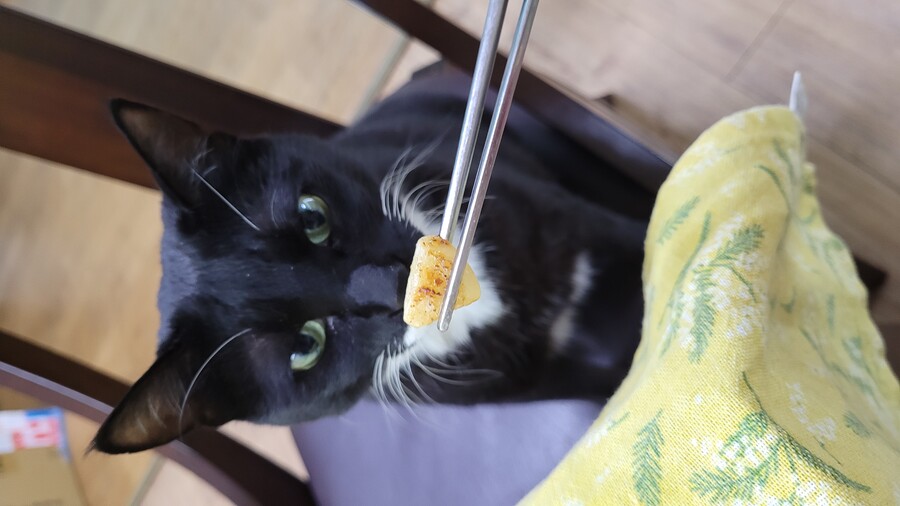 야옹이랑 먹는 닭똥집볶음_17.jpg