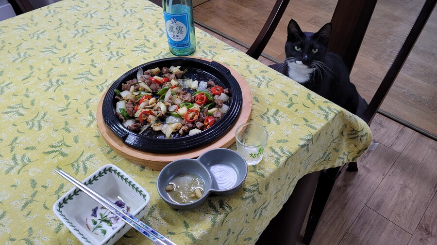 야옹이랑 먹는 닭똥집볶음_19.jpg