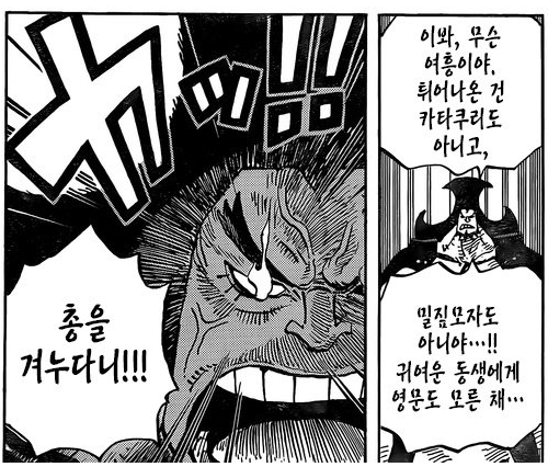원피스) 남매차별 오지는 샬롯 남매_7.png