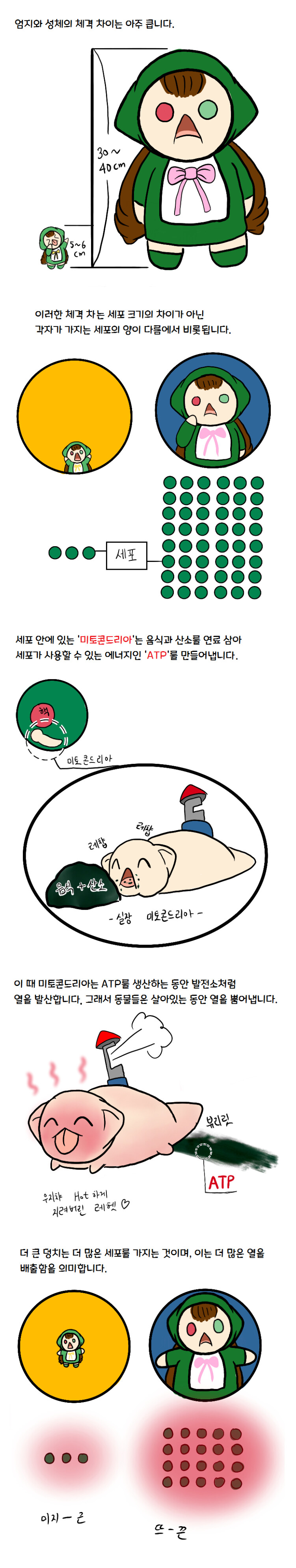 참피)과학적으로 분석한 참피 만화_1.png