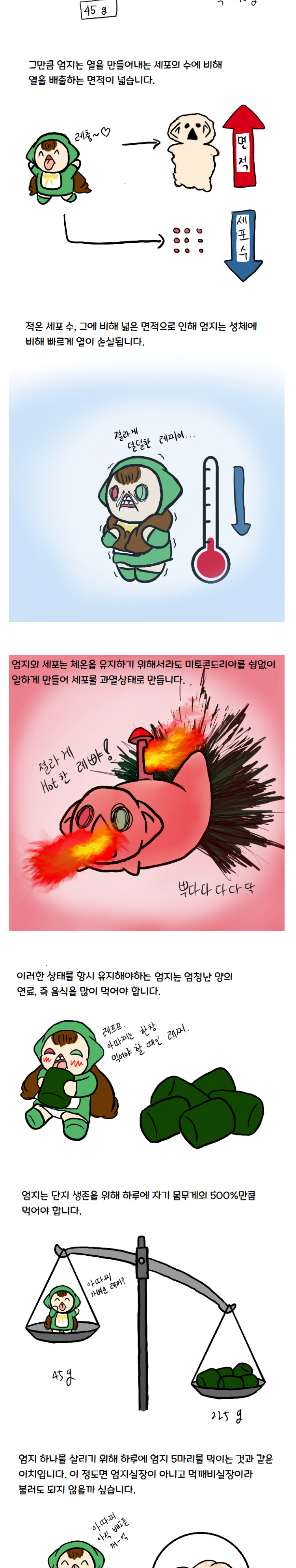 참피)과학적으로 분석한 참피 만화_3.png