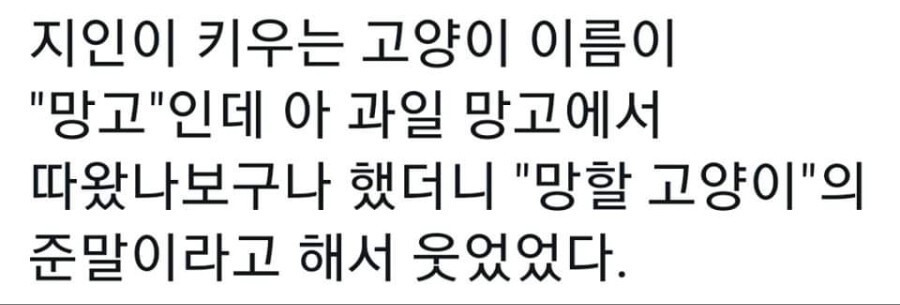 그래도 두부는 귀엽다.jpg_1.jpg