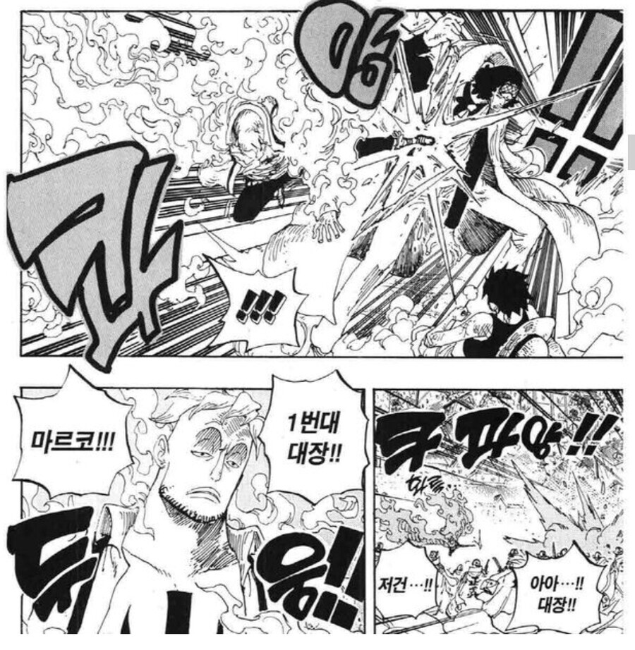 원피스)팬덤에서 추정하는 마르코의 약점_2.jpeg