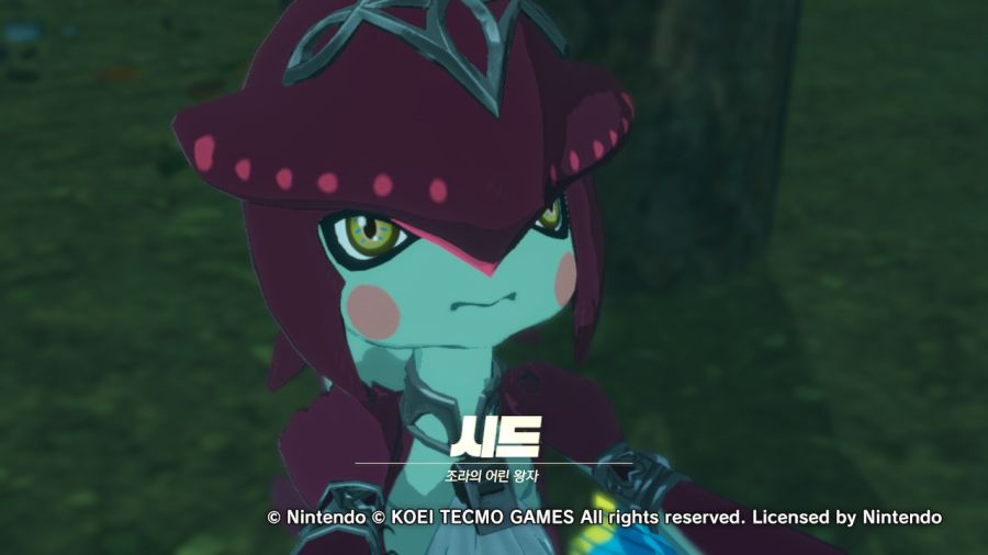 (스압누설)젤다무쌍 엔딩까지_28.jpg