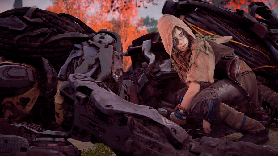 호라이즌 제로 던_6.png