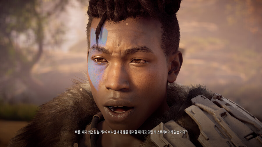 호라이즌 제로 던_86.png