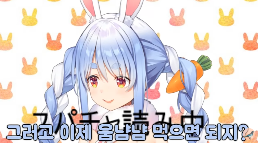 버튜버)페코라의 기적의 다이어트 방법_8.png