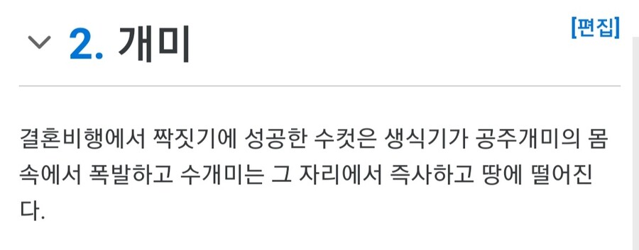 뭐지 시발... (개미, 쥬지, 폭발)_1.jpg