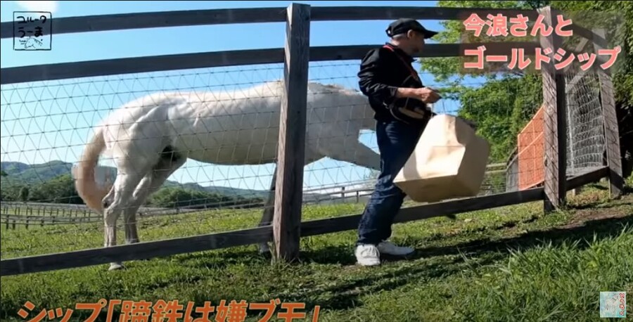 말딸) 고루시 은퇴후 이야기_12.jpg