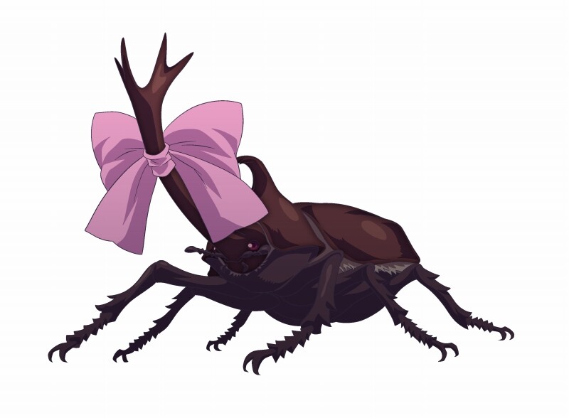 메이유 이미지