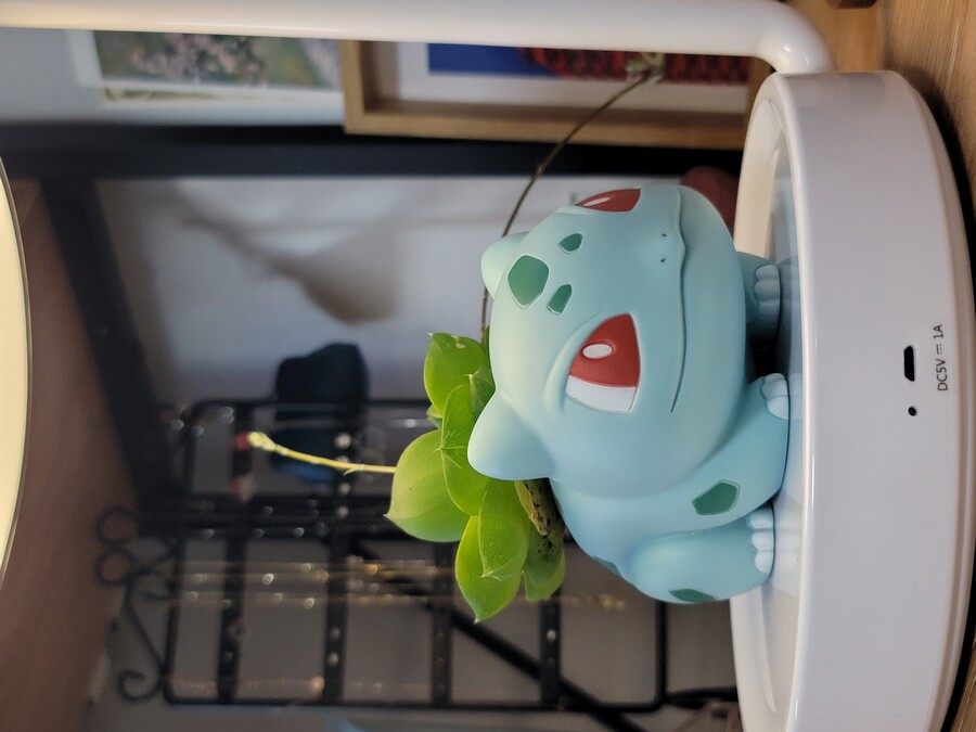 이상해씨 다육식물 화분 만들기_2.jpg