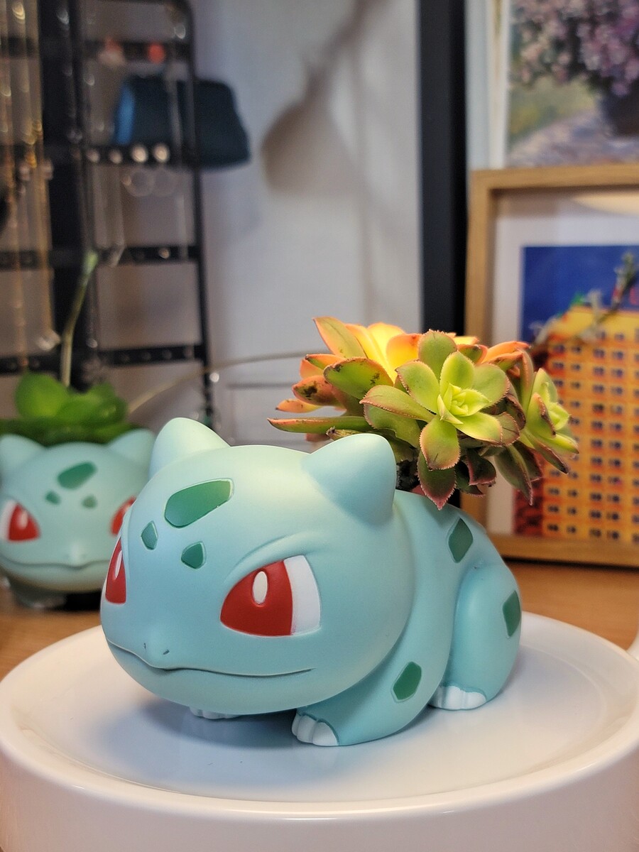 이상해씨 다육식물 화분 만들기_5.jpg