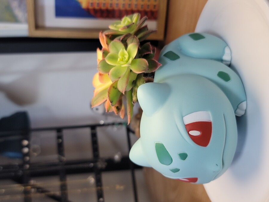 이상해씨 다육식물 화분 만들기_13.jpg