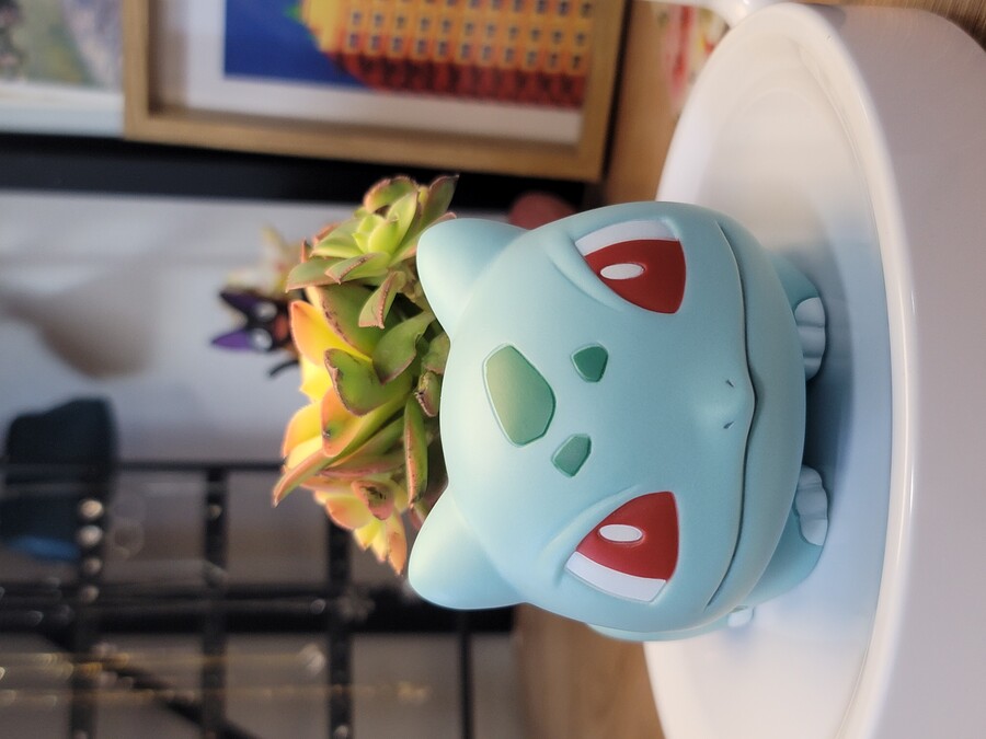 이상해씨 다육식물 화분 만들기_14.jpg