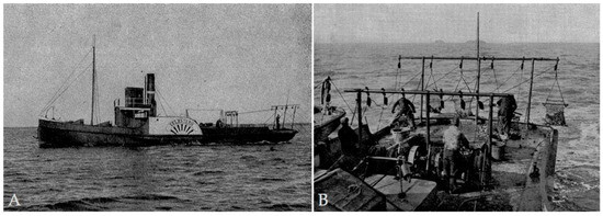유럽굴이 귀해진 건 "너무 먹어서"임_2.jpg