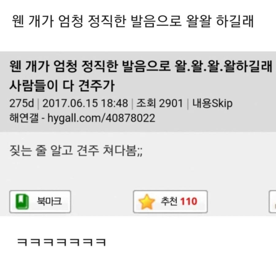 사람처럼 짖는 개 | 유머 게시판 사람처럼 짖는 개 | 유머 게시판 | 루리웹