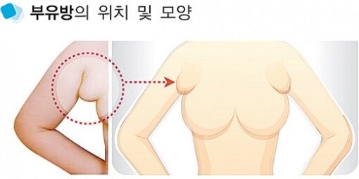 후방) 보드랑이는 실존한다 애송이_3.jpg